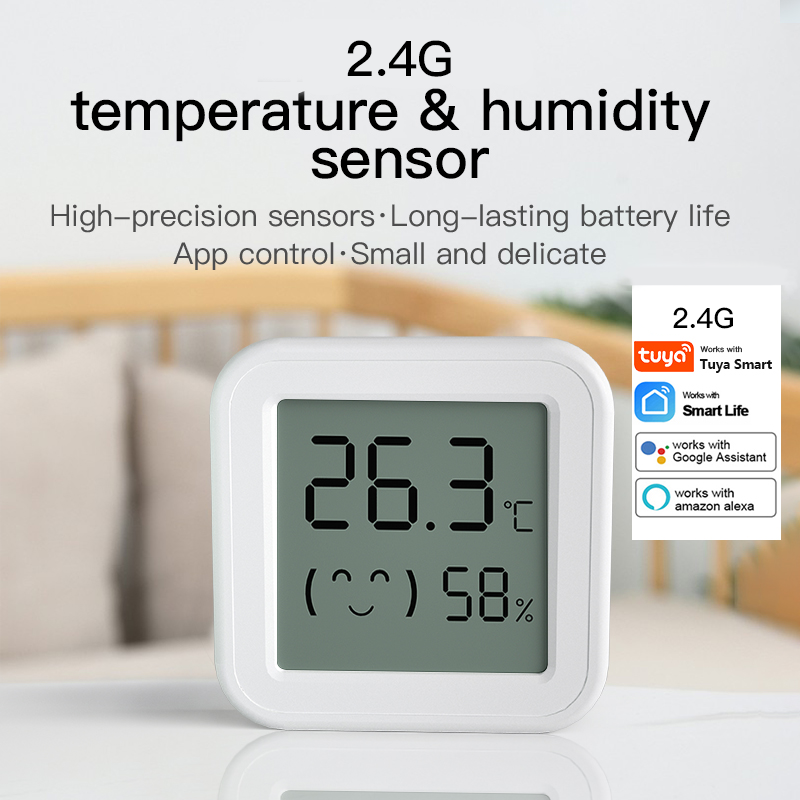Bluetooth Temperature Humidity - огляд і ціна Digital Hygrometer Probe
