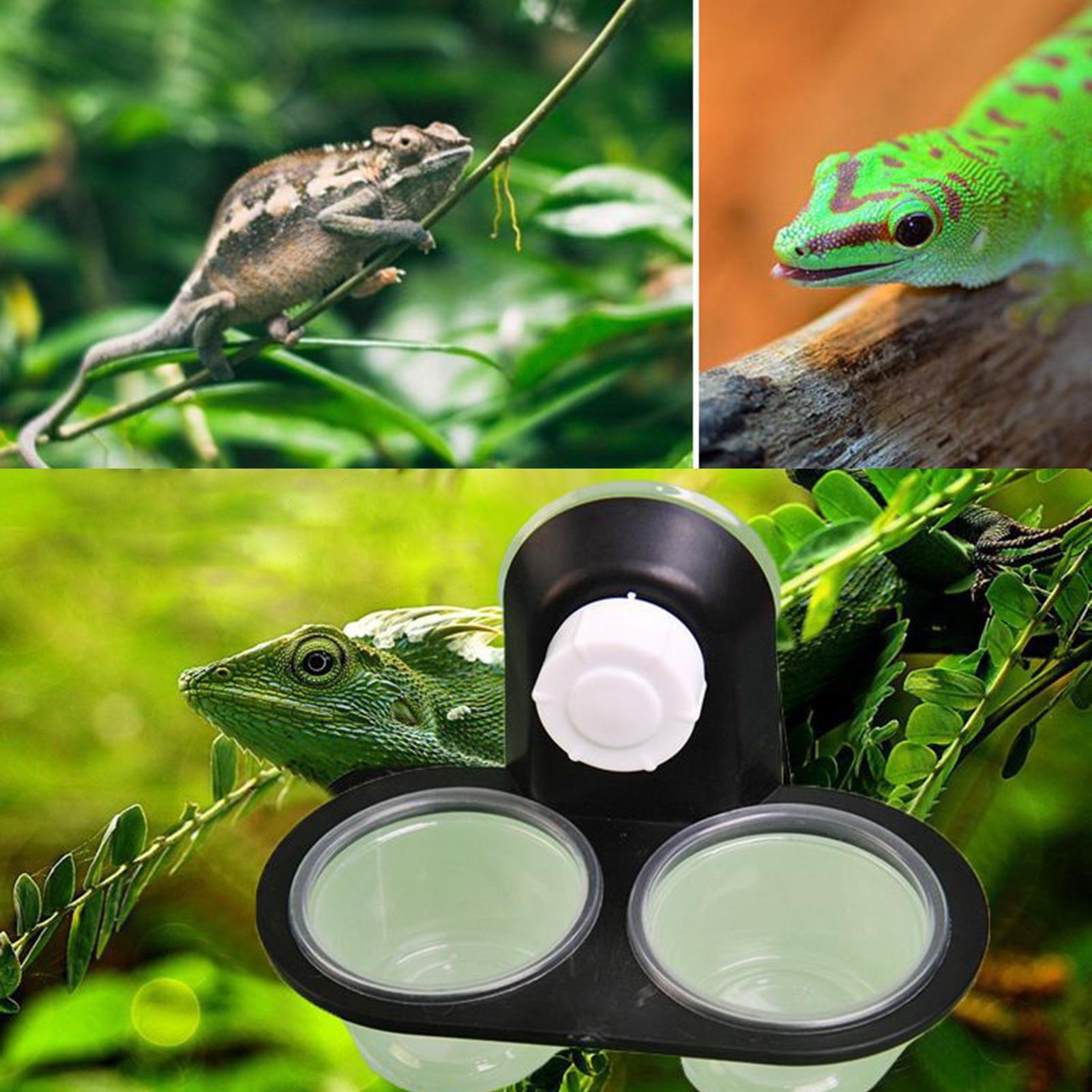 Gecko Food Dish Gecko Water Di - огляд і ціна Water Dish Reptile